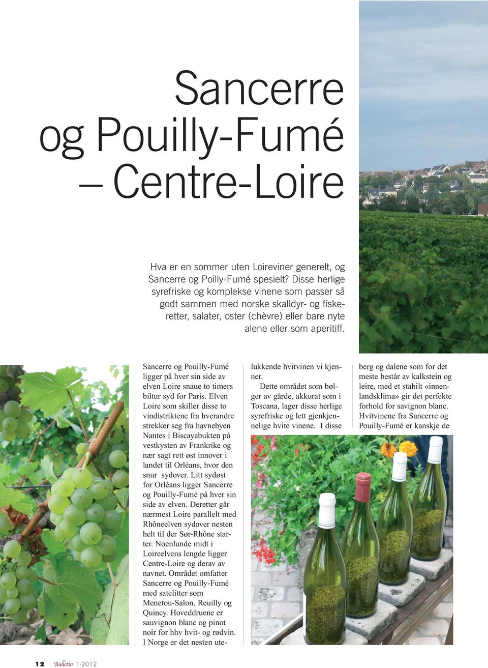 Sancerre og Pouilly-Fumé ligger på hver sin side av elven Loire snaue to timers biltur syd for Paris.