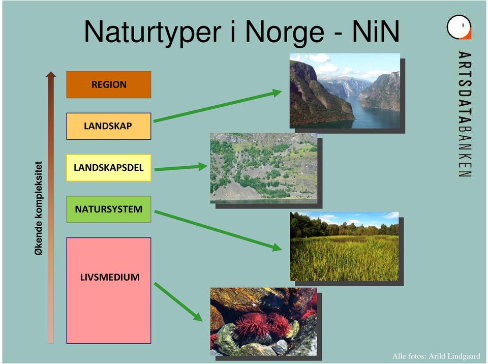 kompleksitet LANDSKAPSDEL