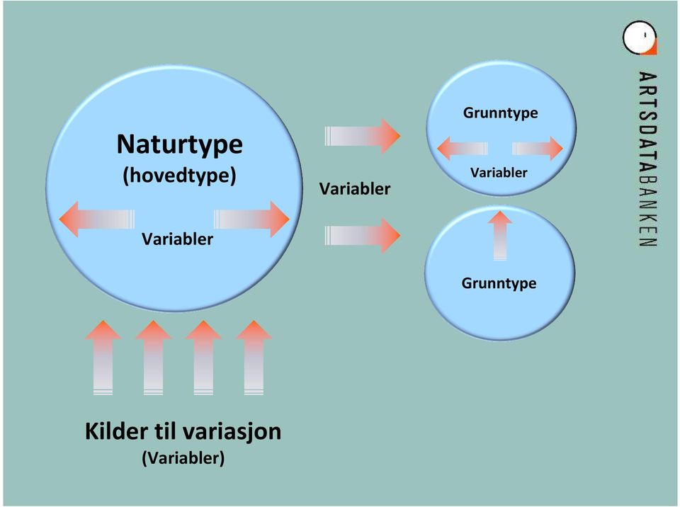 Variabler  Kilder til