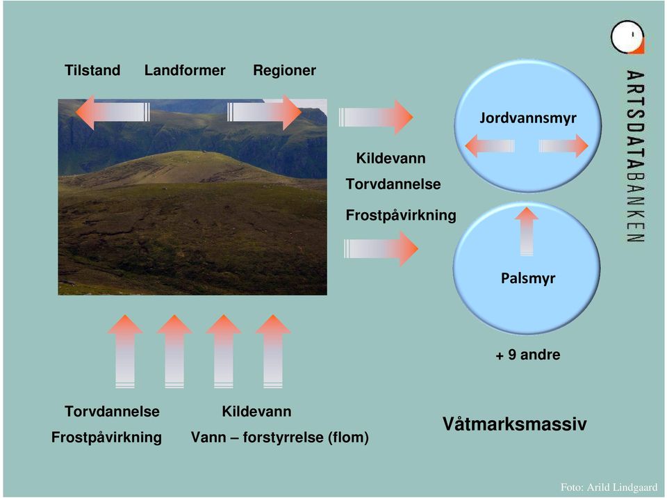 9 andre Torvdannelse Frostpåvirkning Kildevann