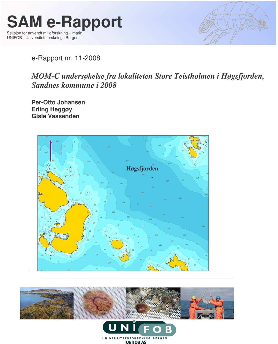 11-2008 MOM-C undersøkelse fra lokaliteten Store Teistholmen i