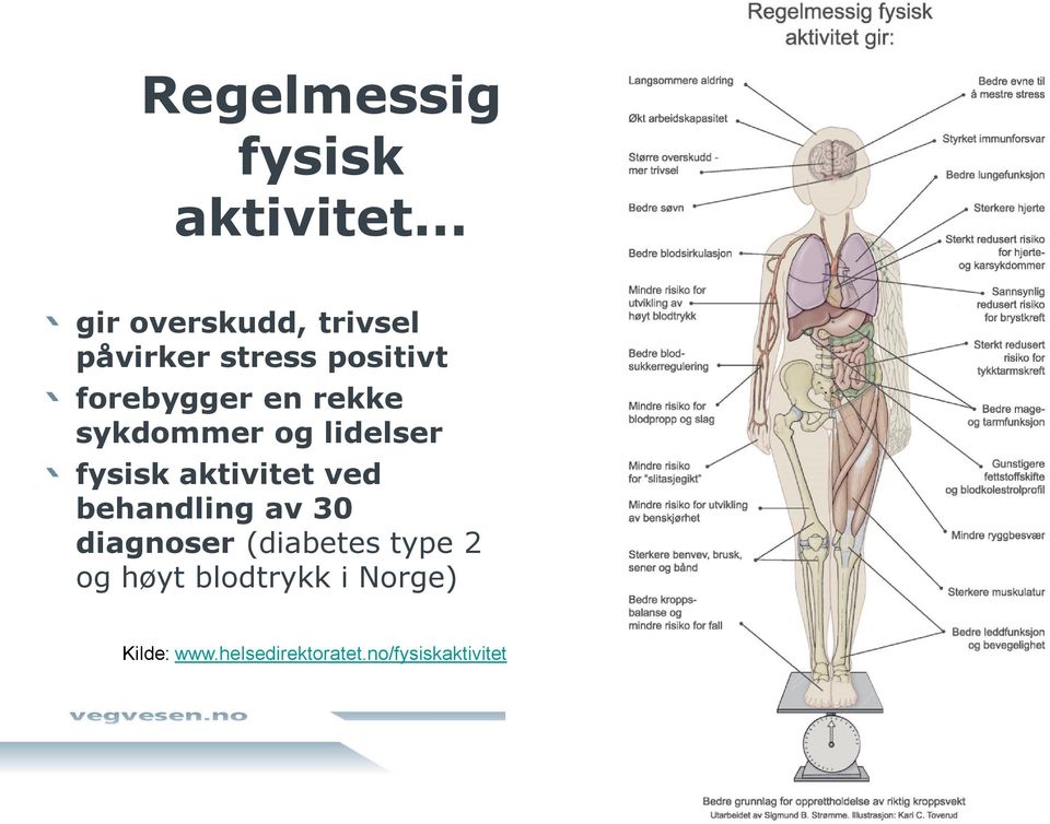 rekke sykdommer og lidelser fysisk aktivitet ved behandling av 30