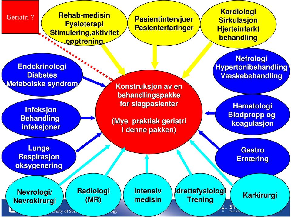 behandling Endokrinologi Diabetes Metabolske syndrom Infeksjon Behandling infeksjoner Lunge Respirasjon oksygenering Konstruksjon av en