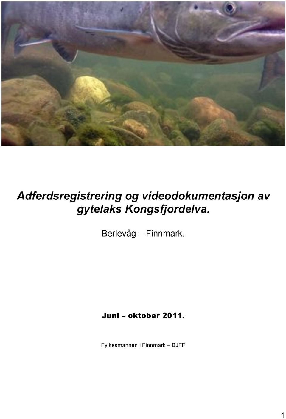Kongsfjordelva. Berlevåg Finnmark.