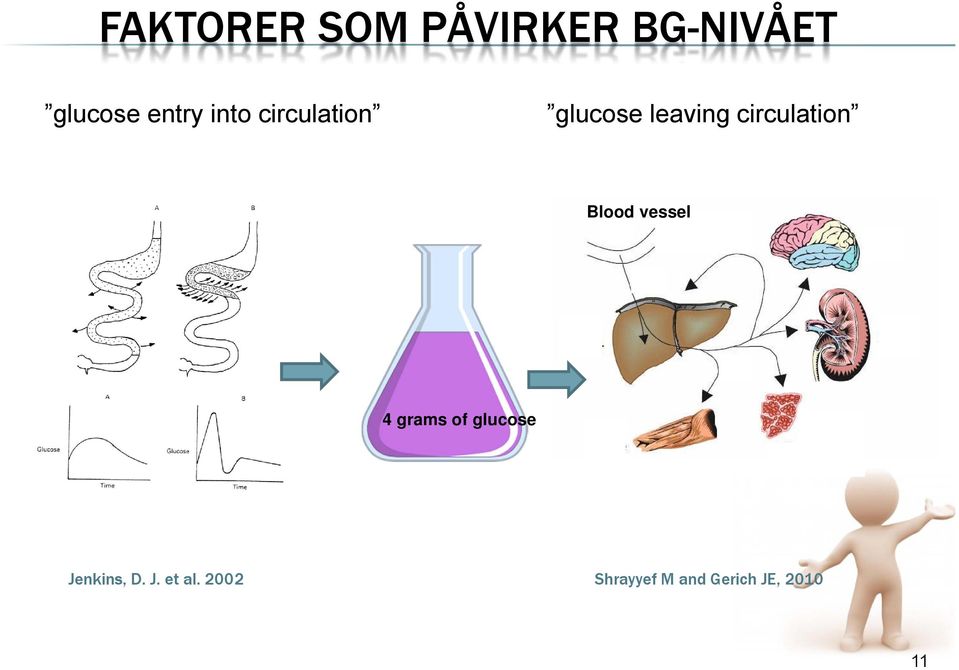 Blood vessel 4 grams of glucose Jenkins, D. J. et al.