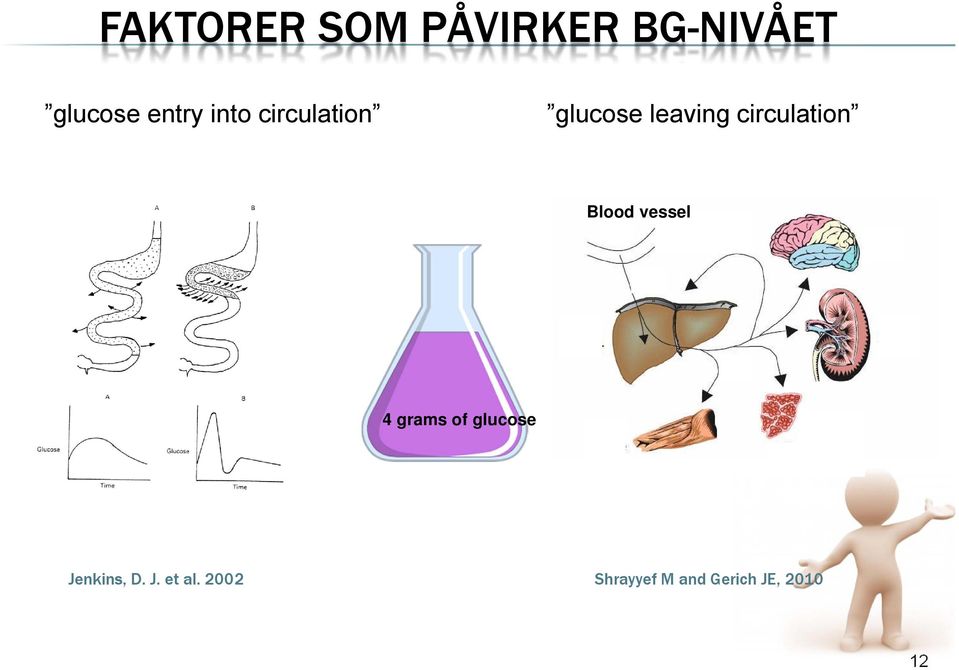 Blood vessel 4 grams of glucose Jenkins, D. J. et al.