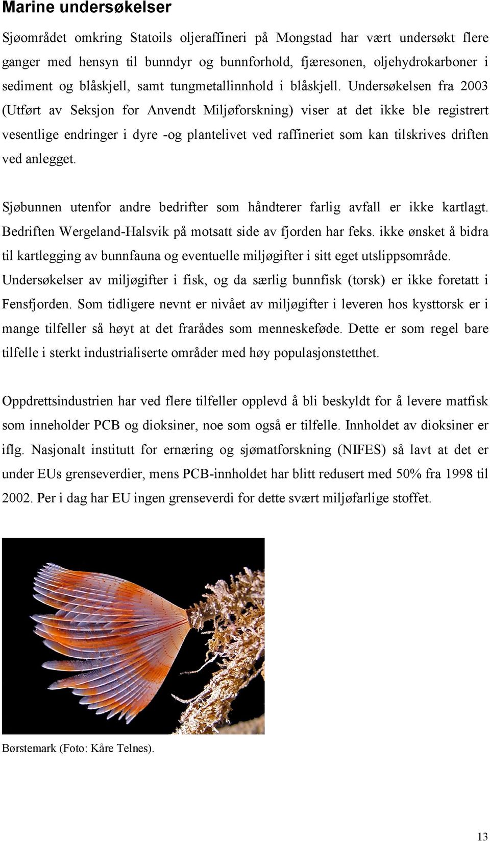 Undersøkelsen fra 2003 (Utført av Seksjon for Anvendt Miljøforskning) viser at det ikke ble registrert vesentlige endringer i dyre -og plantelivet ved raffineriet som kan tilskrives driften ved