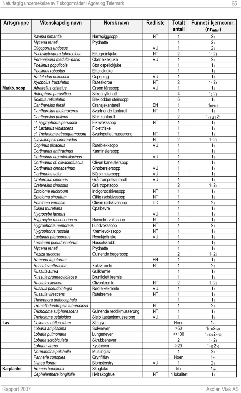 eikekjuke VU 1 21 Phellinus populicola Stor ospeildkjuke 1 11 Phellinus robustus Eikeildkjuke 1 11 Radulodon erikssonii Ospepigg VU 1 11 Xylobolus frustulatus Ruteskorpe NT 2 11 21 Markb.