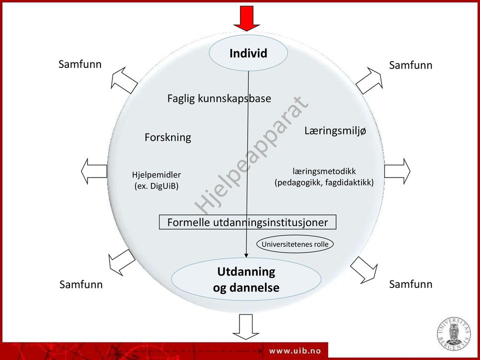 DigUiB) læringsmetodikk (pedagogikk, fagdidaktikk)