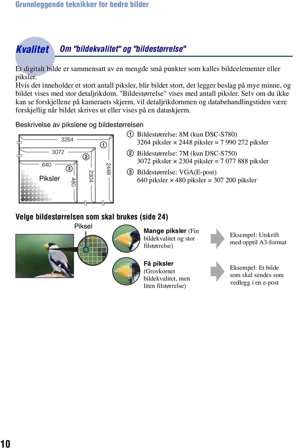 Selv om du ikke kan se forskjellene på kameraets skjerm, vil detaljrikdommen og databehandlingstiden være forskjellig når bildet skrives ut eller vises på en dataskjerm.