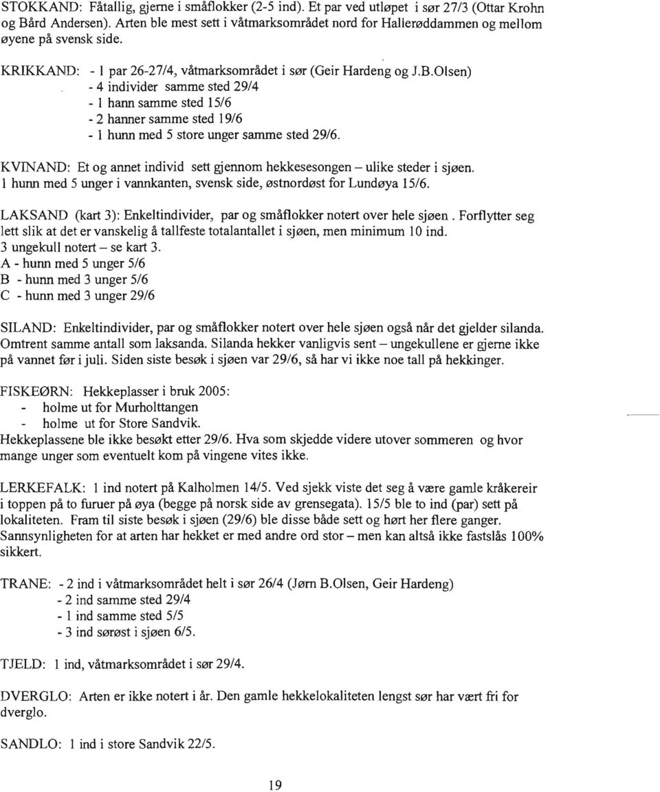 KVINAND: Et og annet individ sett gjennom hekkesesongen - ulike steder i sjøen. l hunn med 5 unger i vannkanten, svensk side, østnordøst for Lundøya 15/6.