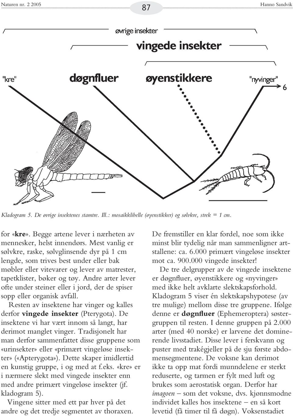 Mest vanlig er sølvkre, raske, sølvglinsende dyr på 1 cm lengde, som trives best under eller bak møbler eller vitevarer og lever av matrester, tapetklister, bøker og tøy.