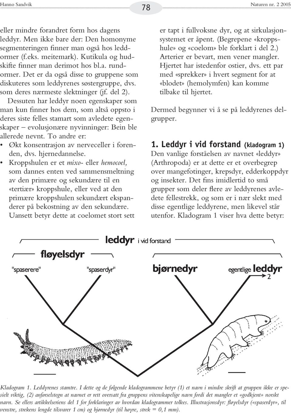 Dessuten har leddyr noen egenskaper som man kun finner hos dem, som altså oppsto i deres siste felles stamart som avledete egenskaper evolusjonære nyvinninger: Bein ble allerede nevnt.