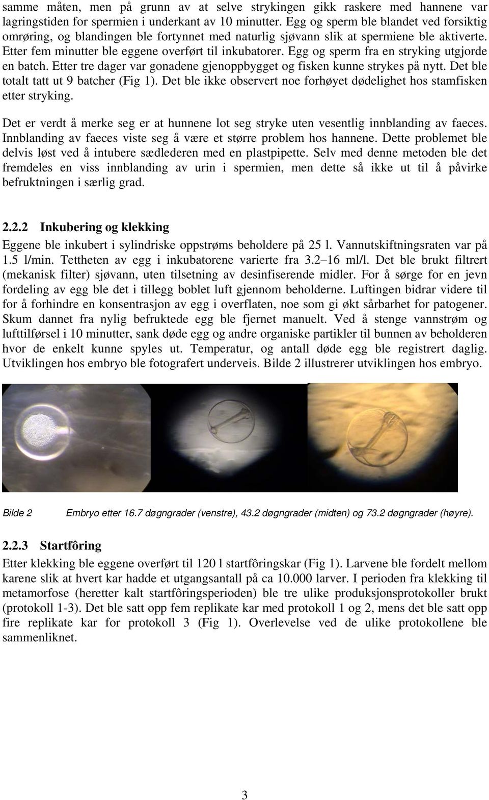 Egg og sperm fra en stryking utgjorde en batch. Etter tre dager var gonadene gjenoppbygget og fisken kunne strykes på nytt. Det ble totalt tatt ut 9 batcher (Fig 1).