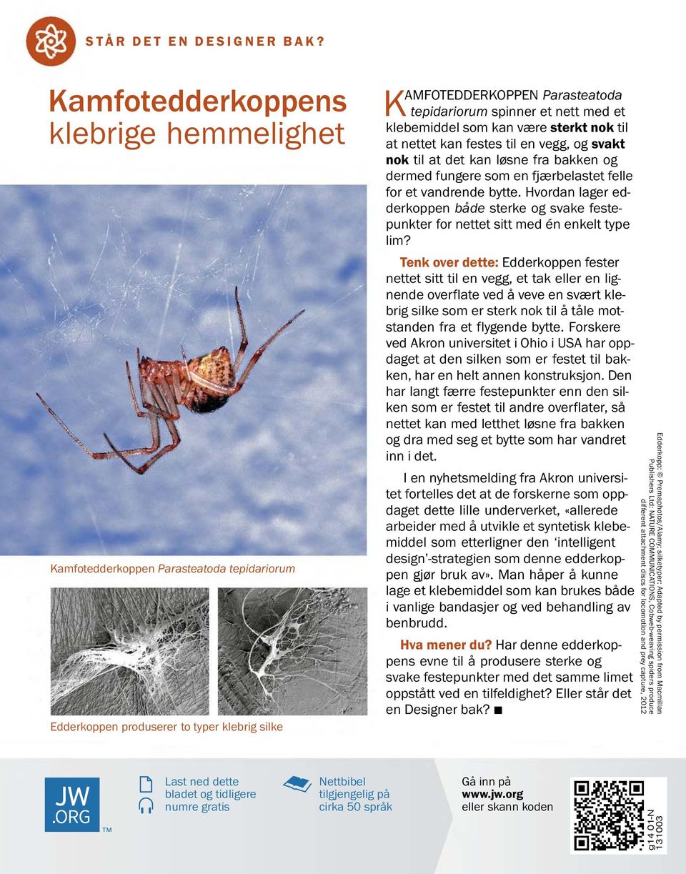 klebemiddel som kan være sterkt nok til at nettet kan festes til en vegg, og svakt nok til at det kan løsne fra bakken og dermed fungere som en fjærbelastet felle for et vandrende bytte.