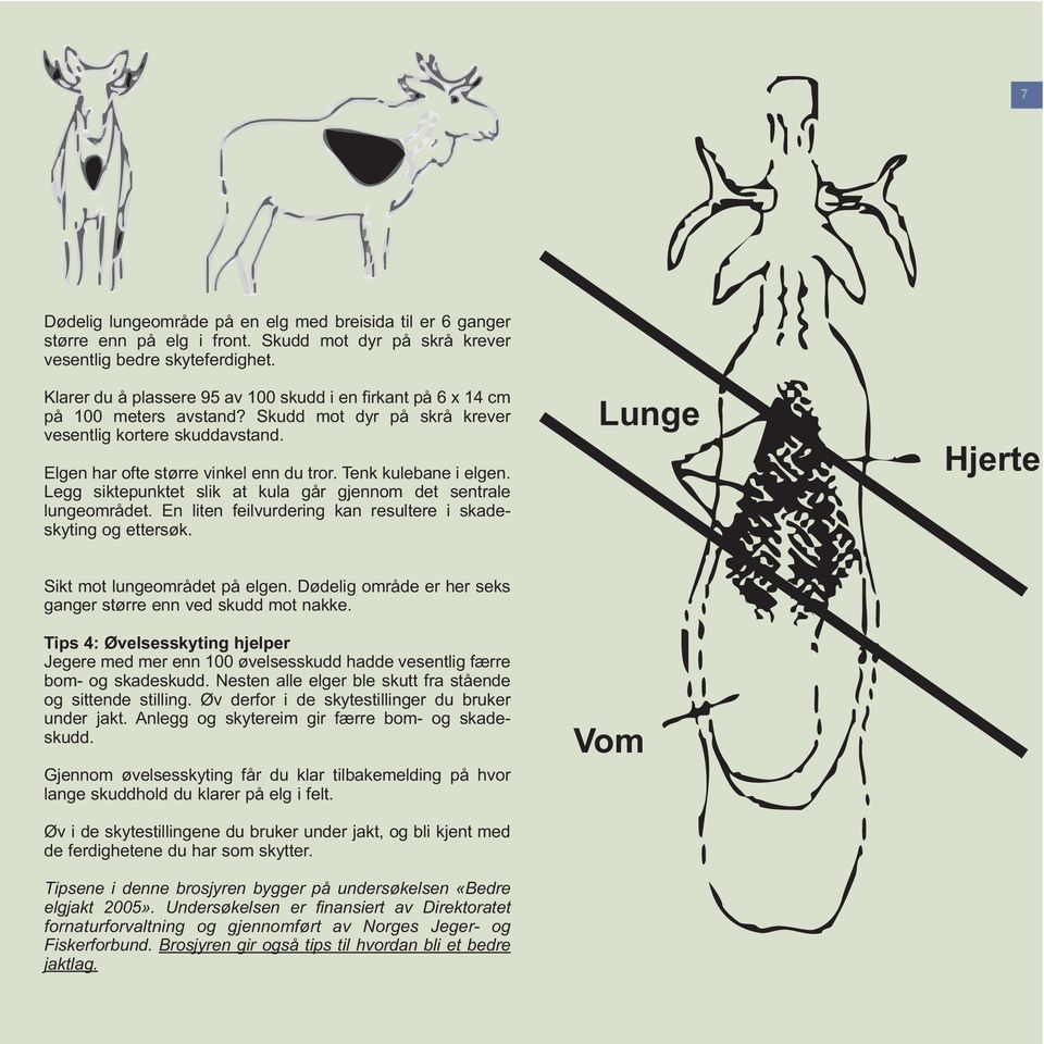 Tenk kulebane i elgen. Legg siktepunktet slik at kula går gjennom det sentrale lungeområdet. En liten feilvurdering kan resultere i skadeskyting og ettersøk.