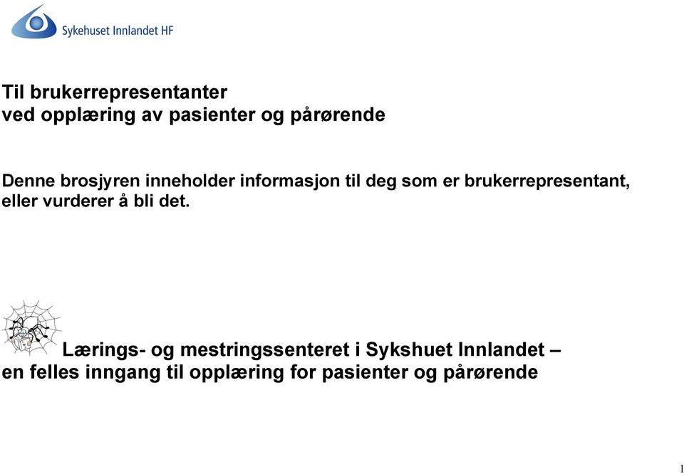 brukerrepresentant, eller vurderer å bli det.