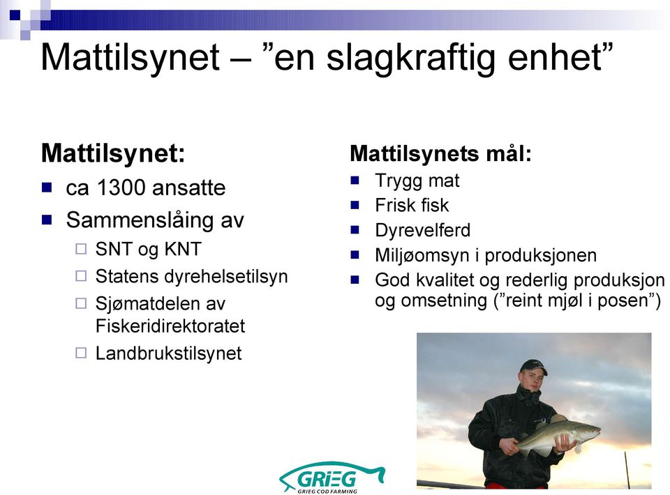 Landbrukstilsynet Mattilsynets mål: Trygg mat Frisk fisk Dyrevelferd