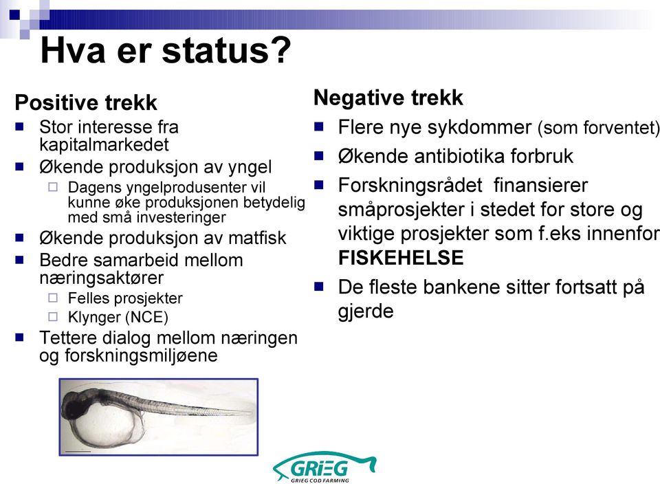 med små investeringer Økende produksjon av matfisk Bedre samarbeid mellom næringsaktører Felles prosjekter Klynger (NCE) Tettere dialog