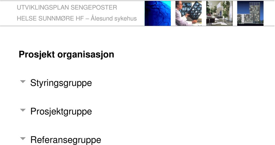 Styringsgruppe u