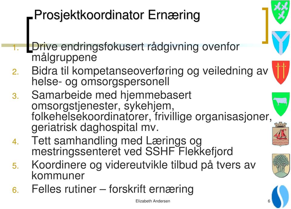 Samarbeide med hjemmebasert omsorgstjenester, sykehjem, folkehelsekoordinatorer, frivillige organisasjoner, geriatrisk