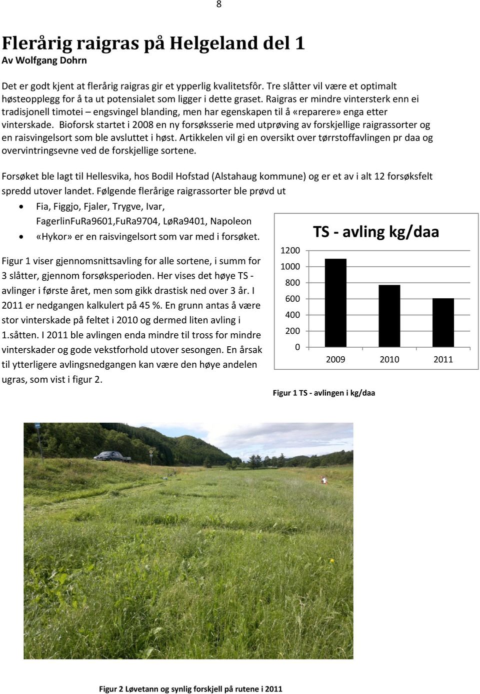 Raigras er mindre vintersterk enn ei tradisjonell timotei engsvingel blanding, men har egenskapen til å «reparere» enga etter vinterskade.