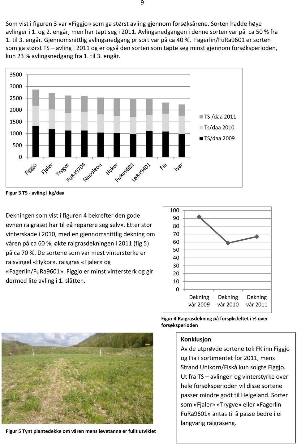 Fagerlin/FuRa9601 er sorten som ga størst TS avling i 2011 og er også den sorten som tapte seg minst gjennom forsøksperioden, kun 23 % avlingsnedgang fra 1. til 3. engår.