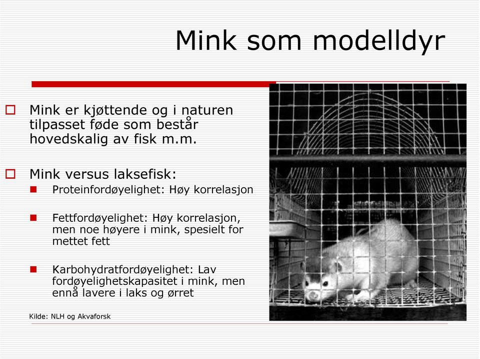 m. Mink versus laksefisk: Proteinfordøyelighet: Høy korrelasjon Fettfordøyelighet: Høy