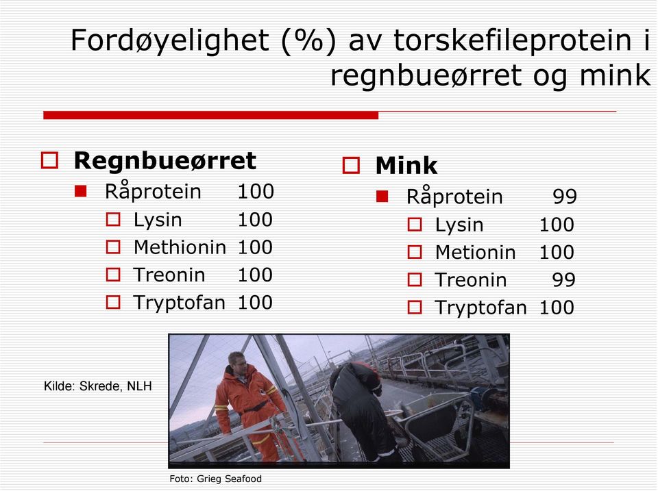 Treonin 100 Tryptofan 100 Mink Råprotein 99 Lysin 100