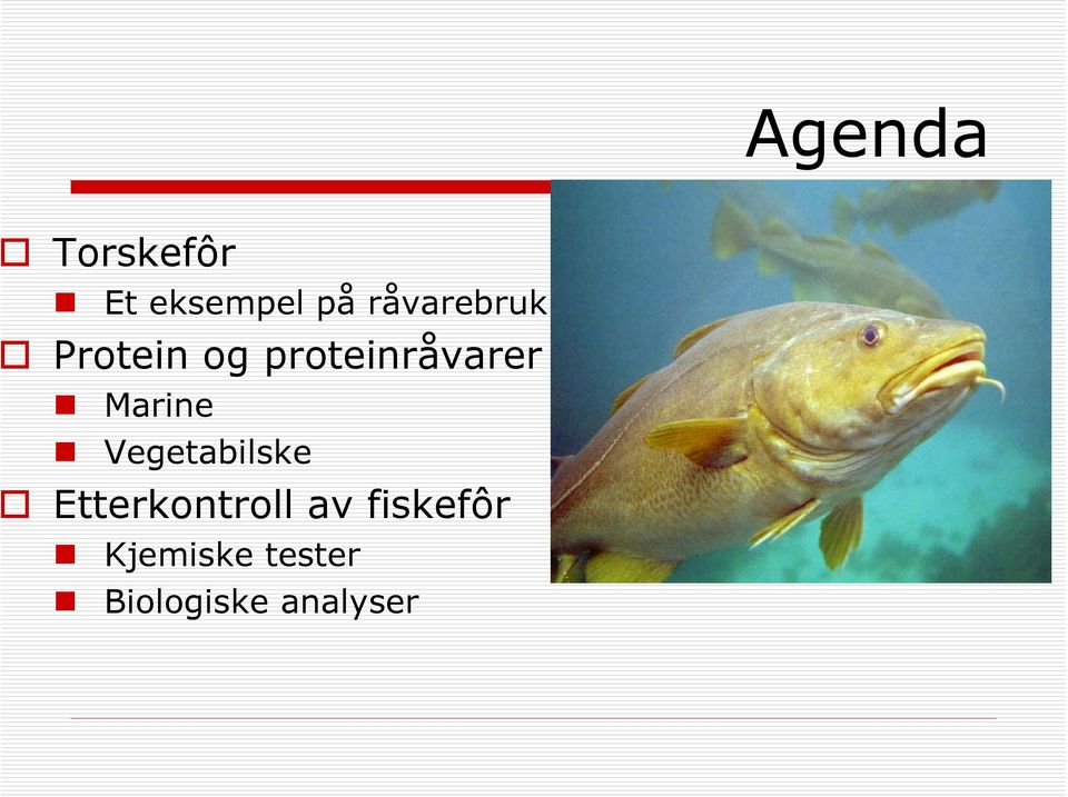 Marine Vegetabilske Etterkontroll av