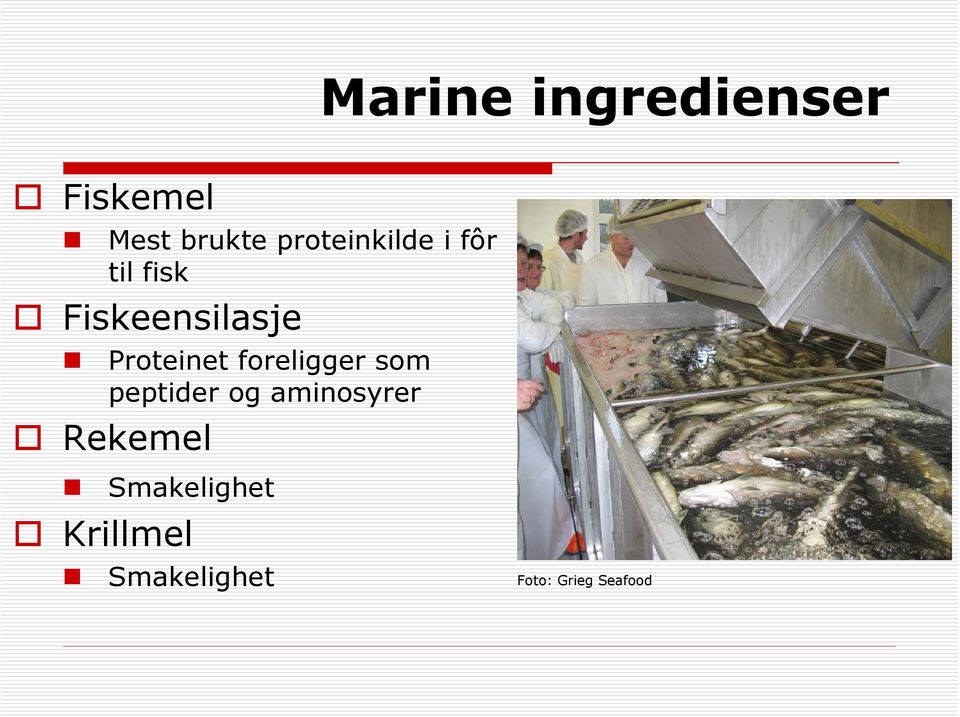 Proteinet foreligger som peptider og aminosyrer