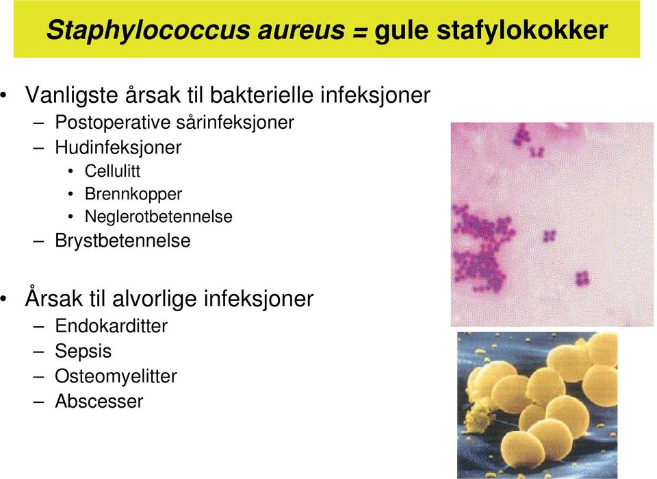 Hudinfeksjoner Cellulitt Brennkopper Neglerotbetennelse