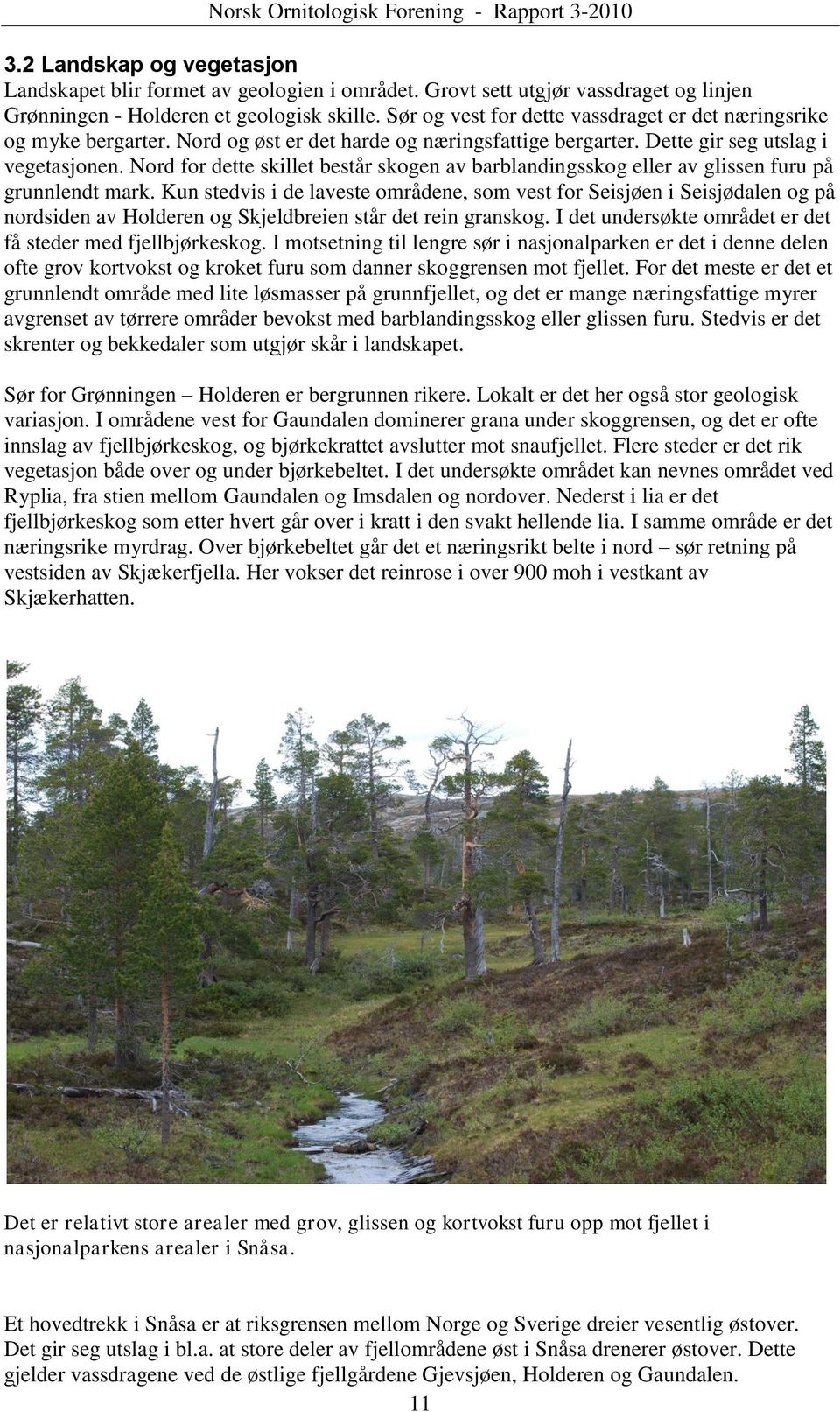 Nord for dette skillet består skogen av barblandingsskog eller av glissen furu på grunnlendt mark.