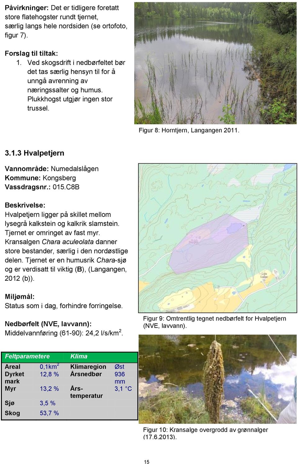 . 3.1.3 Hvalpetjern Vannområde: Numedalslågen Kommune: Kongsberg Vassdragsnr.: 015.C8B Hvalpetjern ligger på skillet mellom lysegrå kalkstein og kalkrik slamstein. Tjernet er omringet av fast myr.