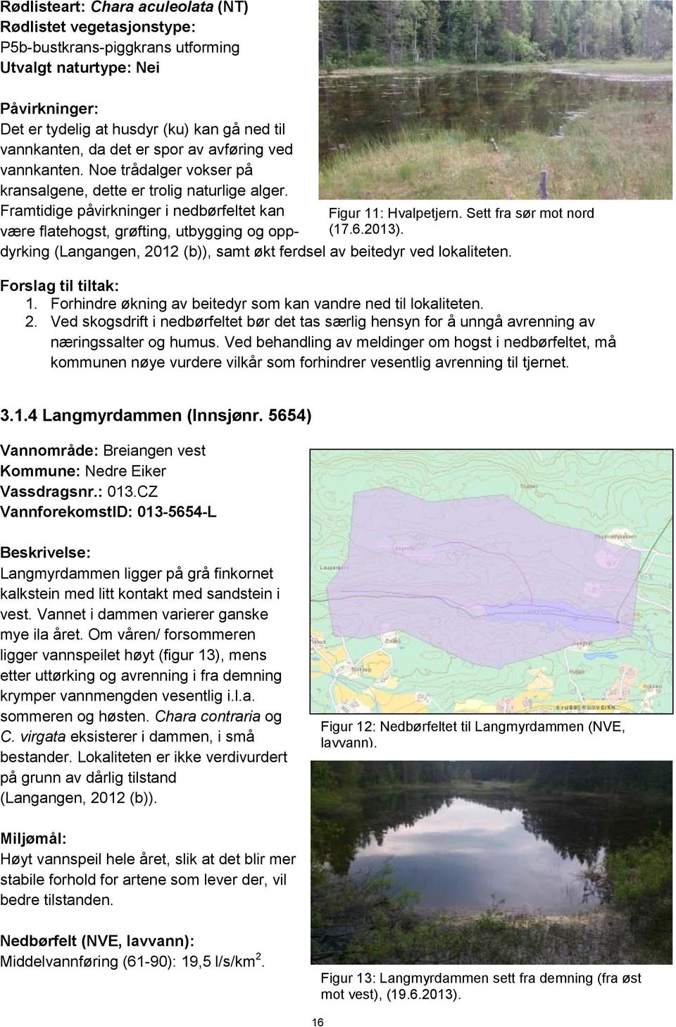 Sett fra sør mot nord være flatehogst, grøfting, utbygging og opp- (17.6.2013). dyrking (Langangen, 2012 (b)), samt økt ferdsel av beitedyr ved lokaliteten. 1.