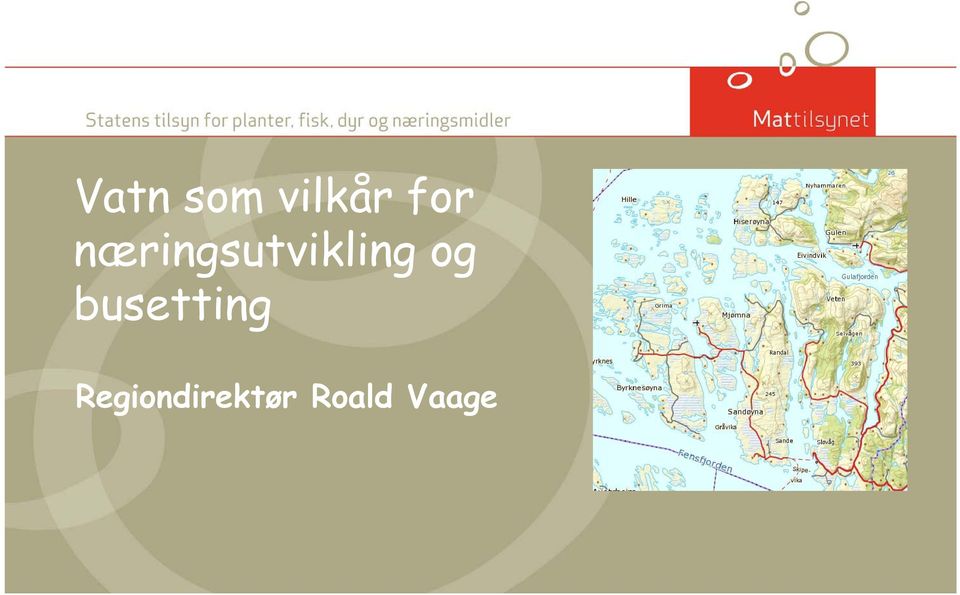 næringsutvikling