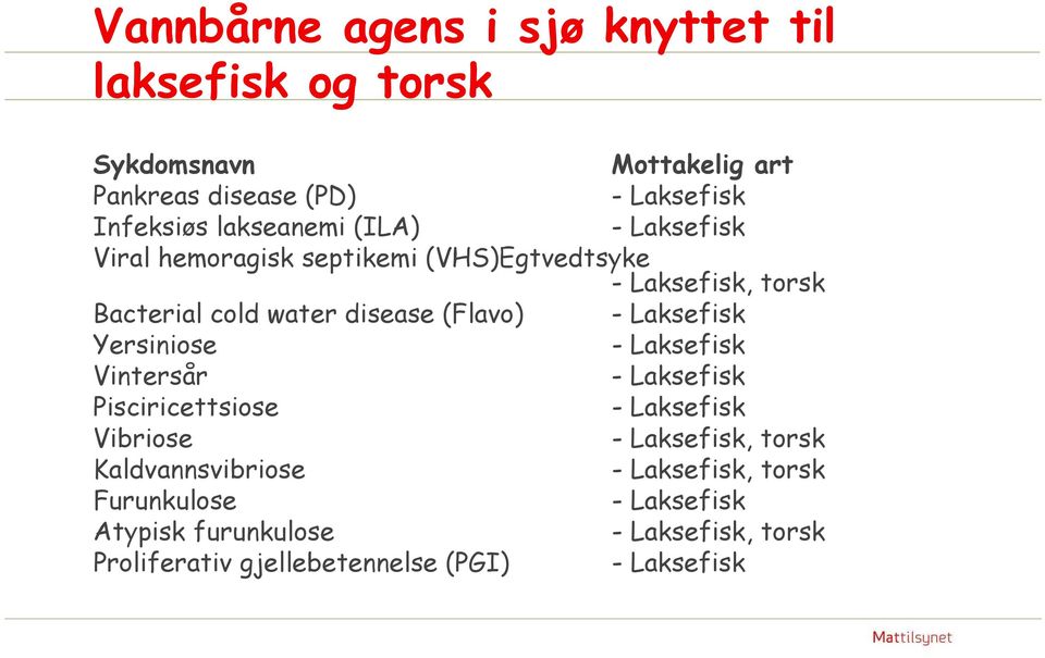 Bacterial cold water disease (Flavo) Yersiniose Vintersår Pisciricettsiose Vibriose, torsk