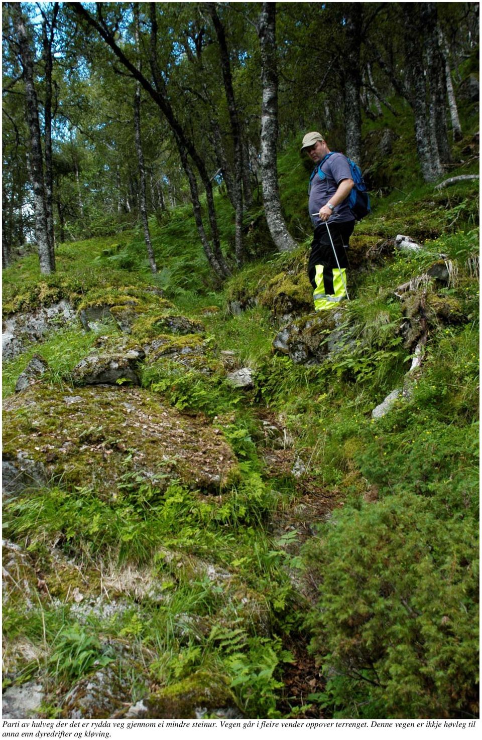 Vegen går i fleire vender oppover terrenget.