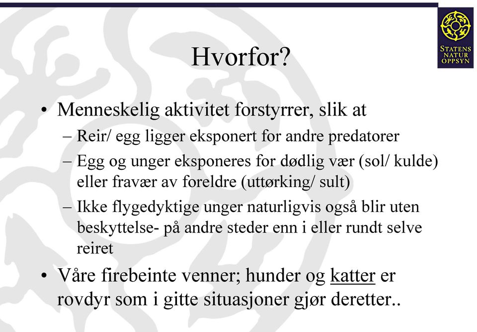 unger eksponeres for dødlig vær (sol/ kulde) eller fravær av foreldre (uttørking/ sult) Ikke