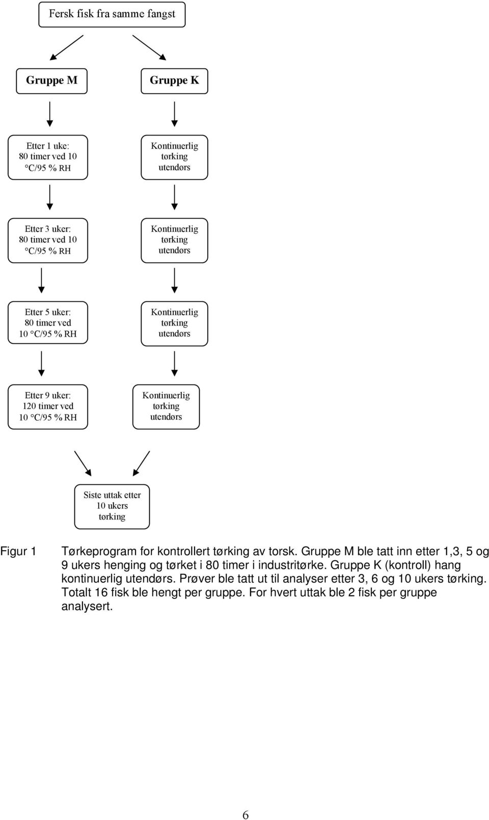 tørking Figur 1 Tørkeprogram for kontrollert tørking av torsk. Gruppe M ble tatt inn etter 1,3, 5 og 9 ukers henging og tørket i 80 timer i industritørke.