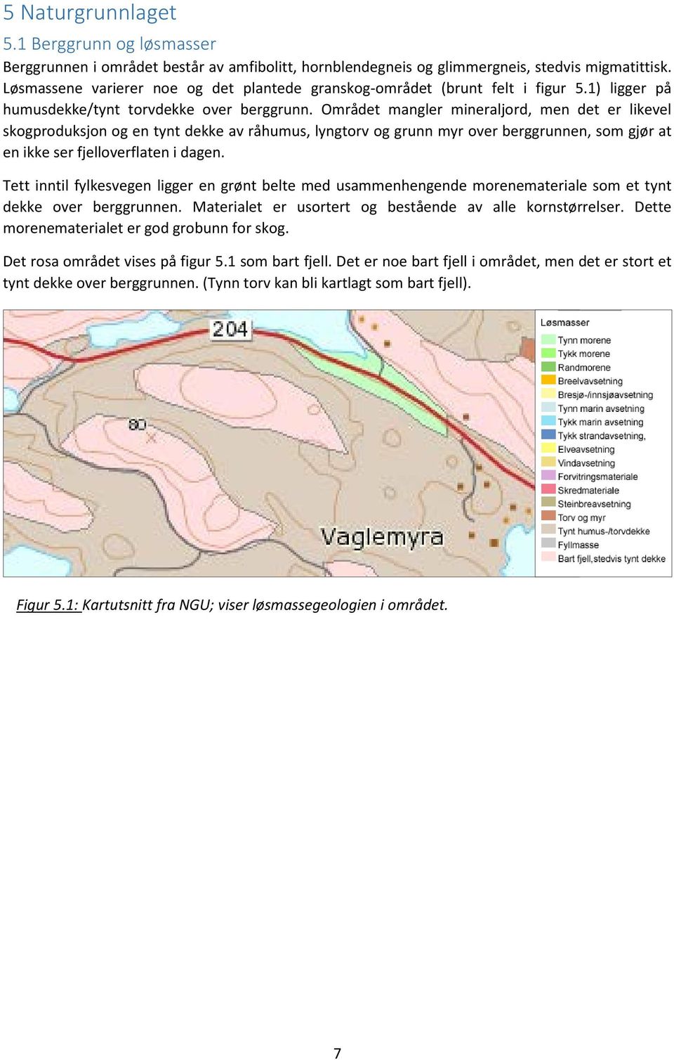 Området mangler mineraljord, men det er likevel skogproduksjon og en tynt dekke av råhumus, lyngtorv og grunn myr over berggrunnen, som gjør at en ikke ser fjelloverflaten i dagen.