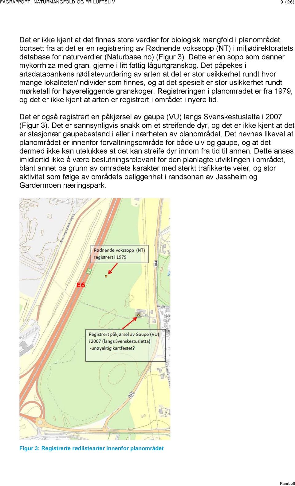 Det påpekes i artsdatabankens rødlistevurdering av arten at det er stor usikkerhet rundt hvor mange lokaliteter/individer som finnes, og at det spesielt er stor usikkerhet rundt mørketall for