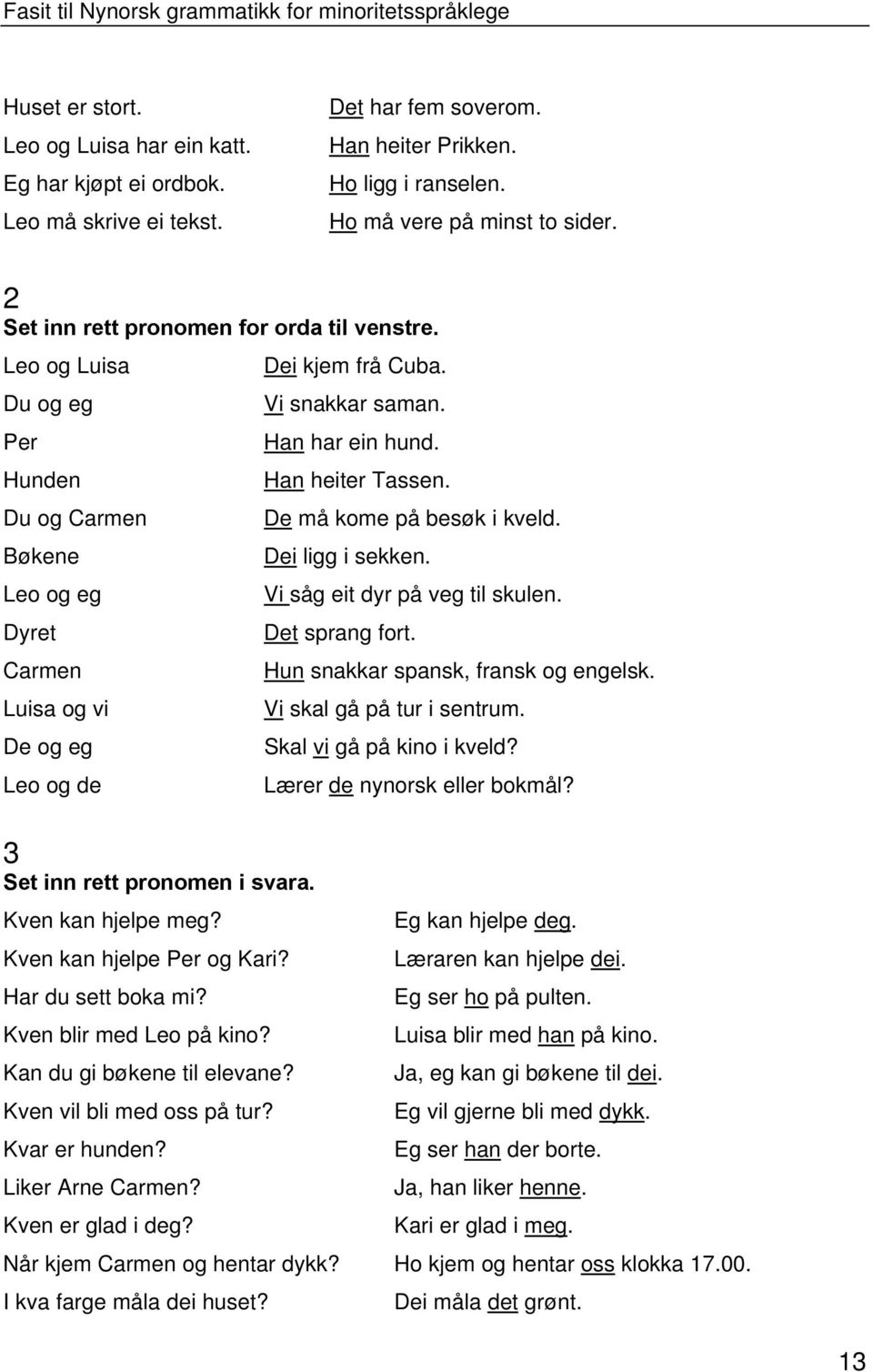 Bøkene Dei ligg i sekken. Leo og eg Vi såg eit dyr på veg til skulen. Dyret Det sprang fort. Carmen Hun snakkar spansk, fransk og engelsk. Luisa og vi Vi skal gå på tur i sentrum.