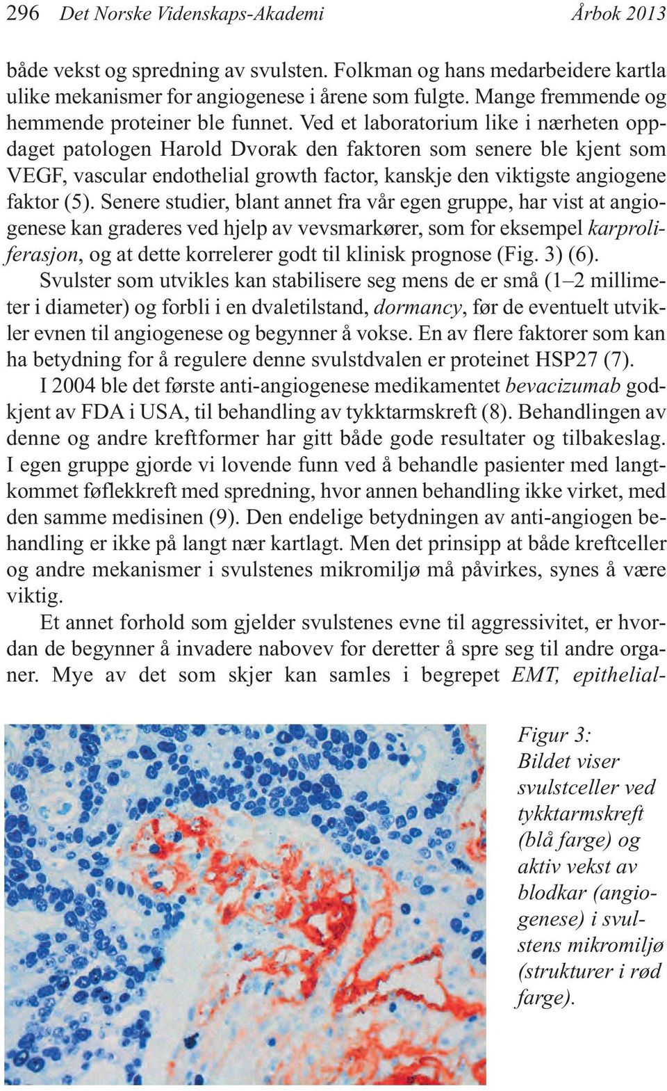 Ved et laboratorium like i nærheten oppdaget patologen Harold Dvorak den faktoren som senere ble kjent som VEGF, vascular endothelial growth factor, kanskje den viktigste angiogene faktor (5).