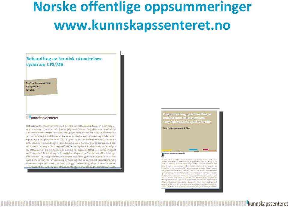 oppsummeringer