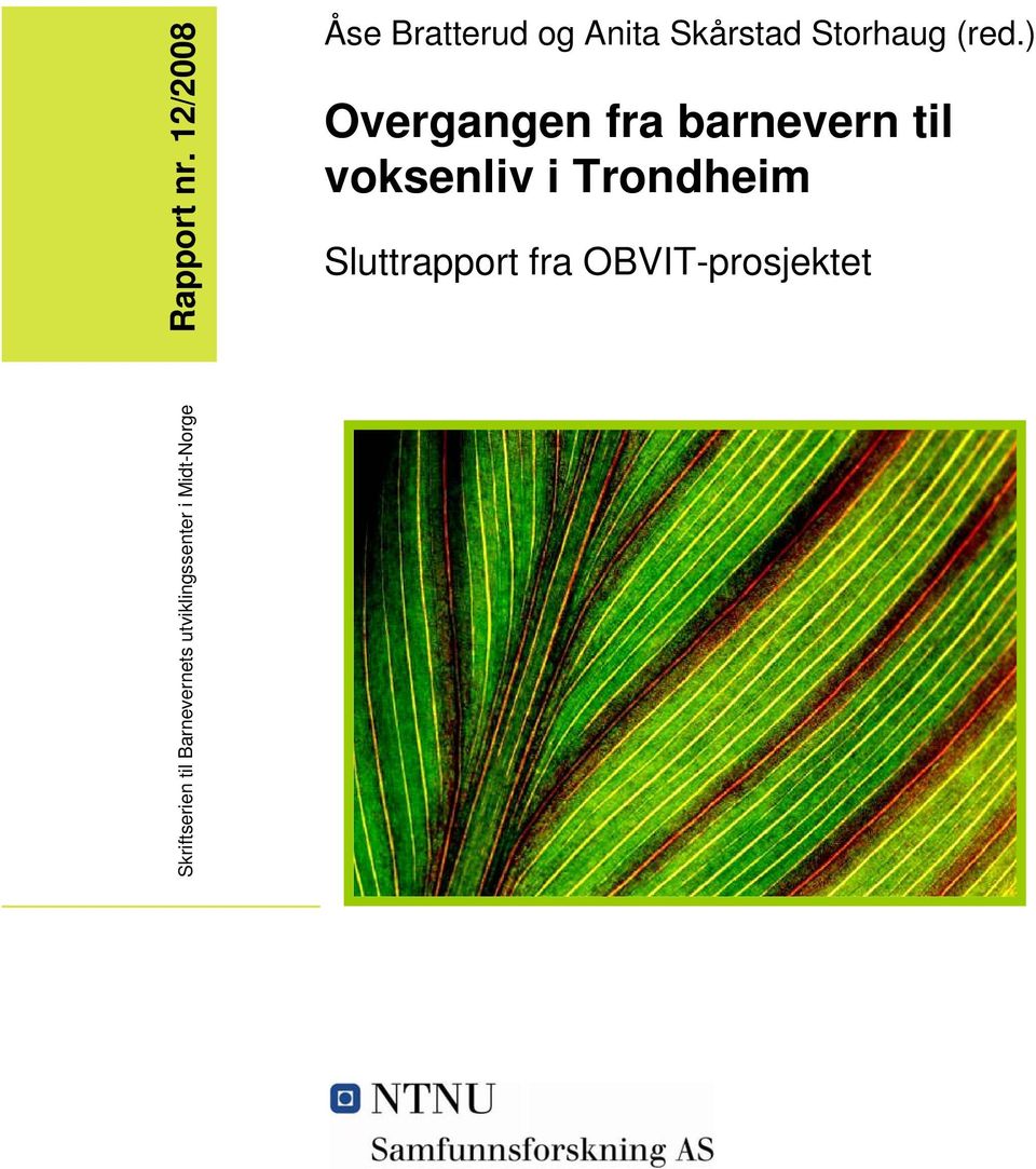 (red.) Overgangen fra barnevern til voksenliv i