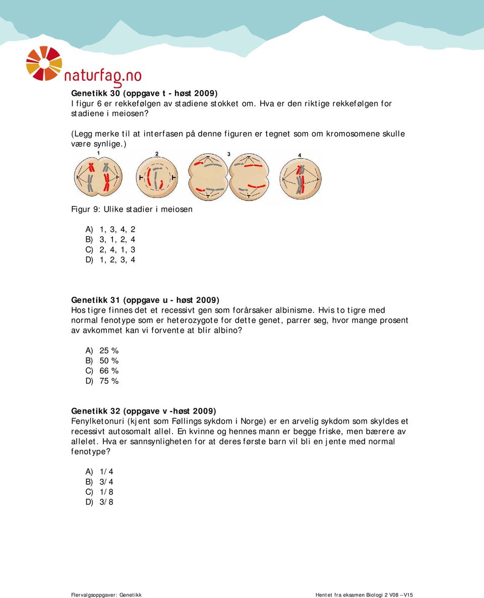 ) Figur 9: Ulike stadier i meiosen A) 1, 3, 4, 2 B) 3, 1, 2, 4 C) 2, 4, 1, 3 D) 1, 2, 3, 4 Genetikk 31 (oppgave u - høst 2009) Hos tigre finnes det et recessivt gen som forårsaker albinisme.