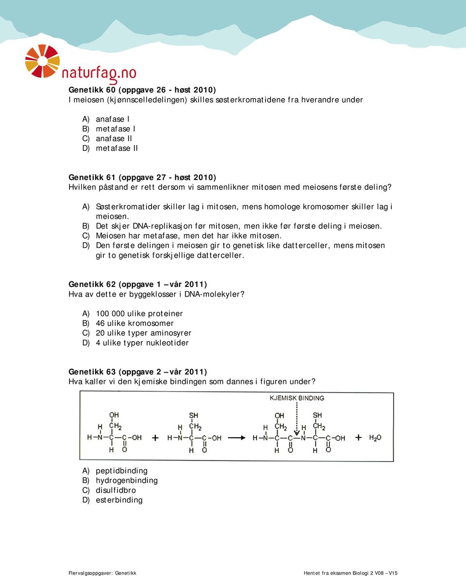 B) Det skjer DNA-replikasjon før mitosen, men ikke før første deling i meiosen. C) Meiosen har metafase, men det har ikke mitosen.