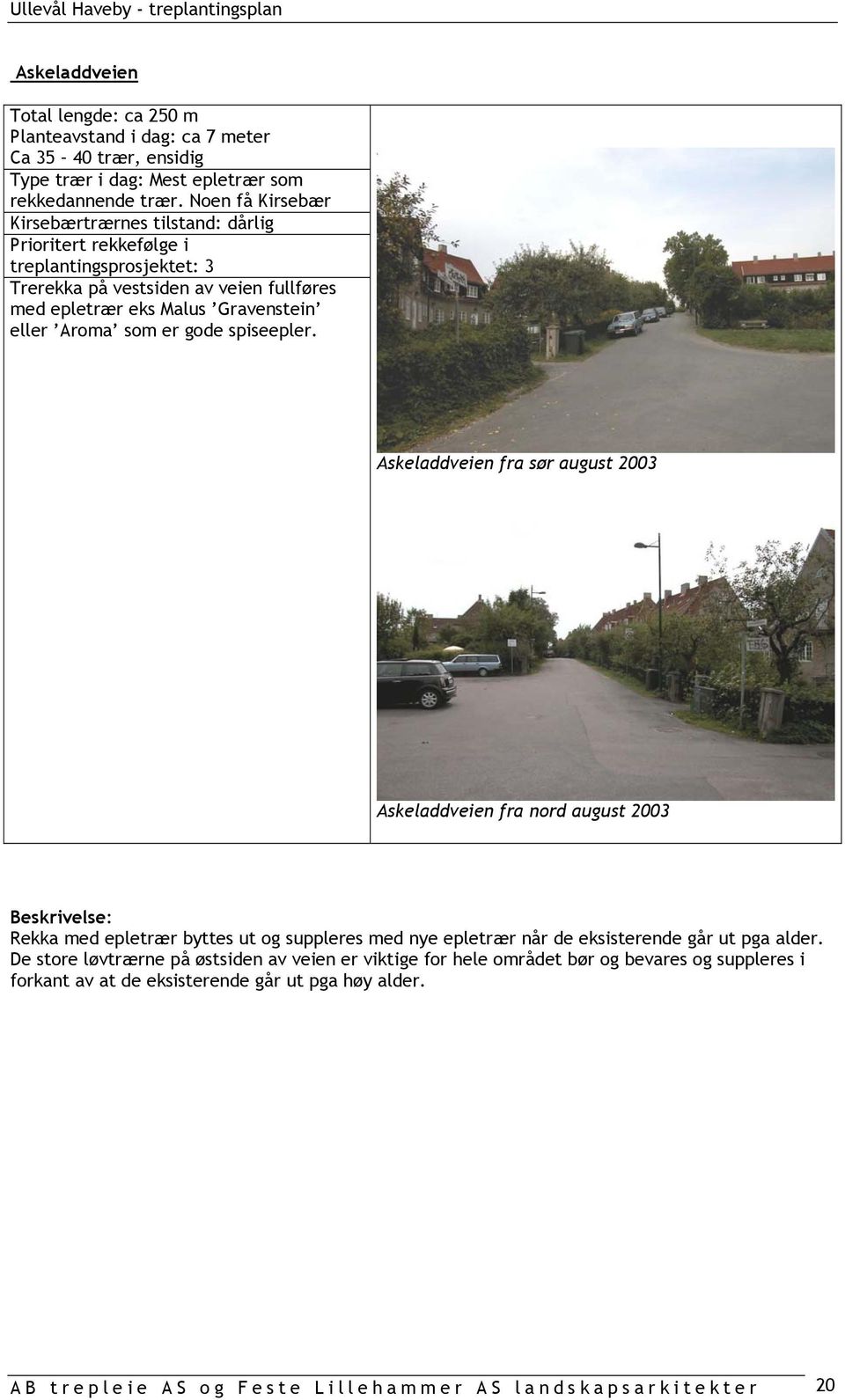 spiseepler. Askeladdveien fra sør august 2003 Askeladdveien fra nord august 2003 Rekka med epletrær byttes ut og suppleres med nye epletrær når de eksisterende går ut pga alder.