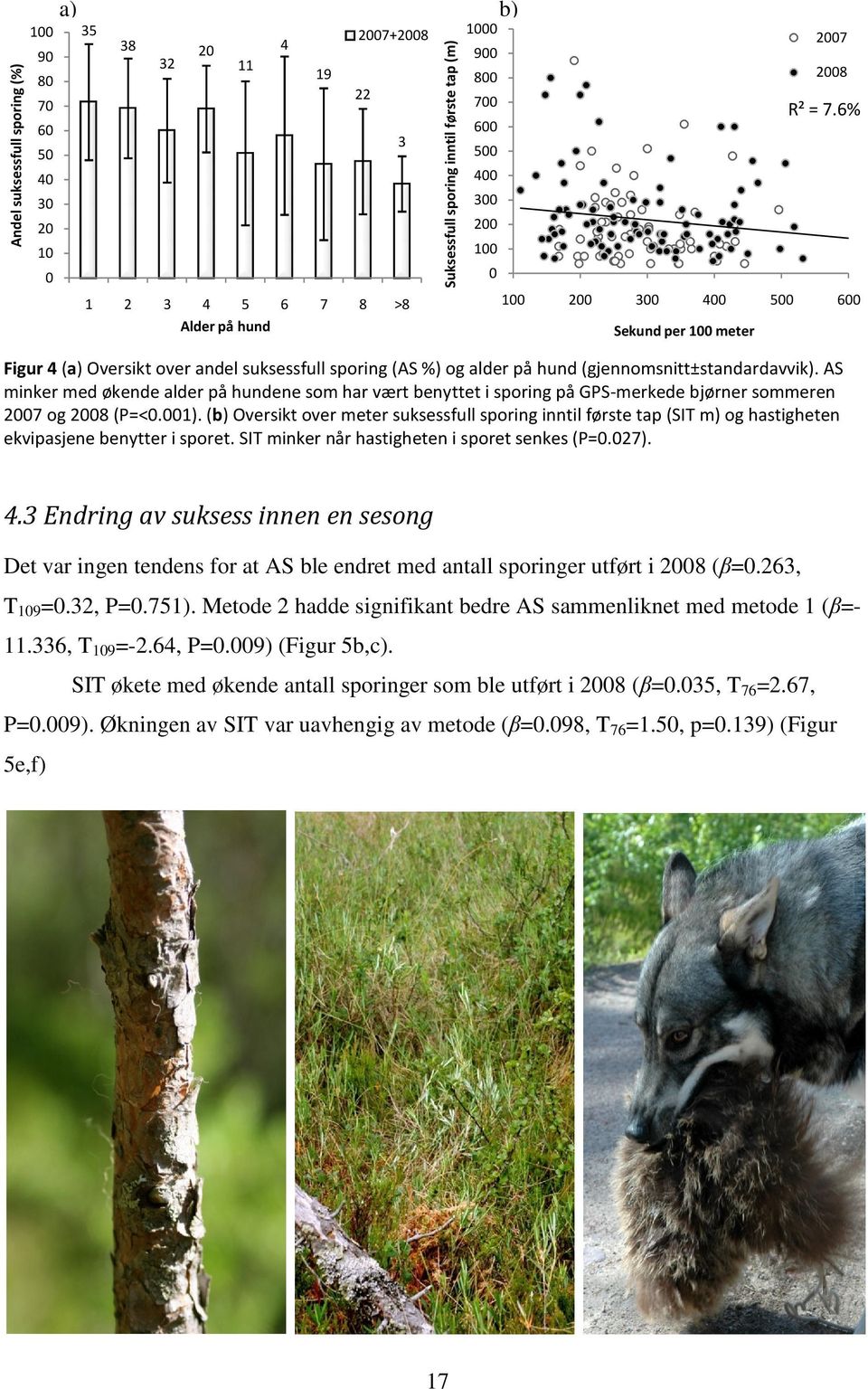 AS minker med økende alder på hundene som har vært benyttet i sporing på GPS-merkede bjørner sommeren 2007 og 2008 (P=<0.001).